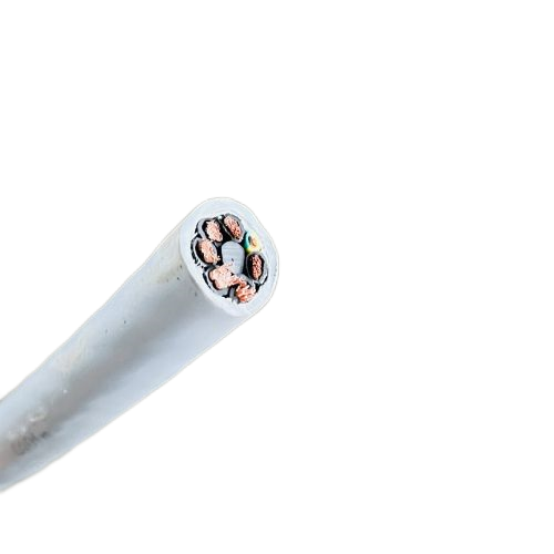 ����max(�й���)���޹�˾����