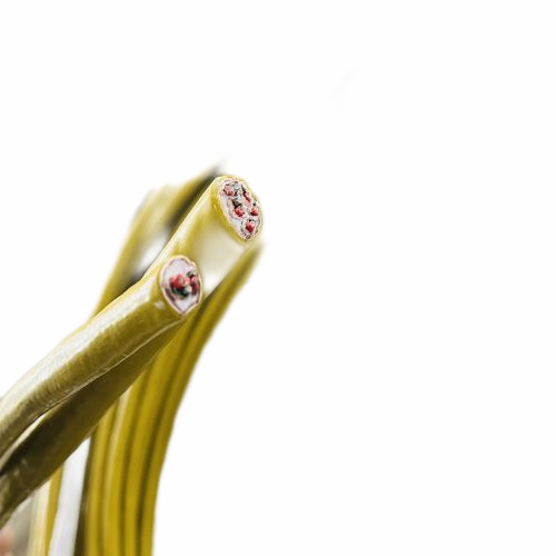 ����max(�й���)���޹�˾����