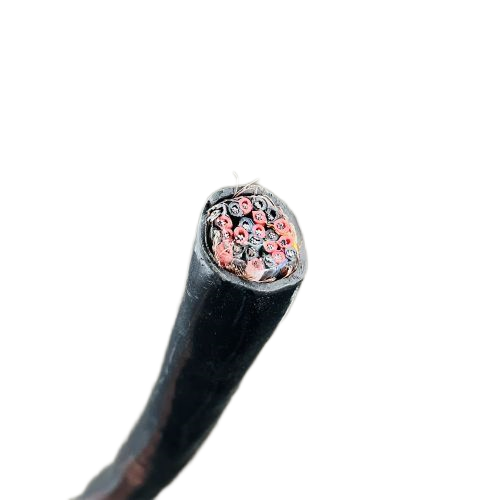 ����max(�й���)���޹�˾����