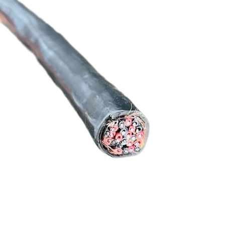 ����max(�й���)���޹�˾����