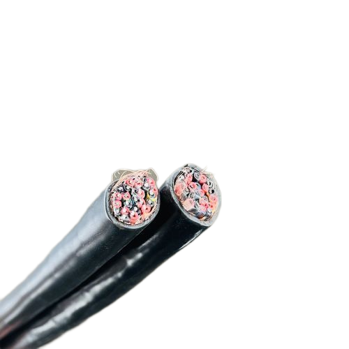 ����max(�й���)���޹�˾����