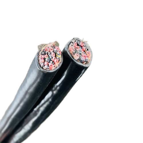 ����max(�й���)���޹�˾����