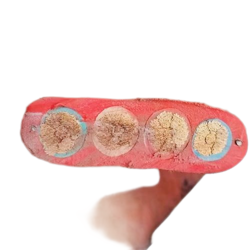 ����max(�й���)���޹�˾����