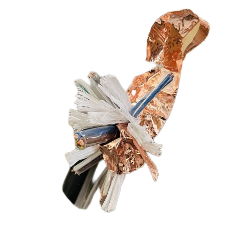 ����max(�й���)���޹�˾����