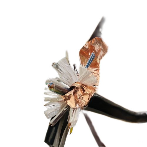 ����max(�й���)���޹�˾����