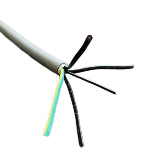 ����max(�й���)���޹�˾����