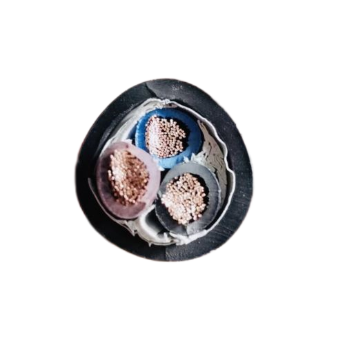 ����max(�й���)���޹�˾����