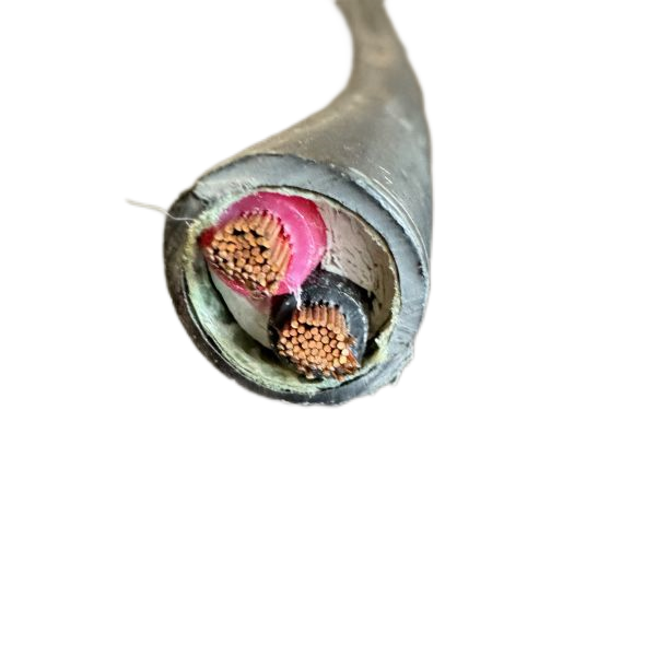 ����max(�й���)���޹�˾����