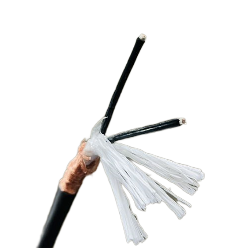 ����max(�й���)���޹�˾����