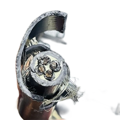 ����max(�й���)���޹�˾����