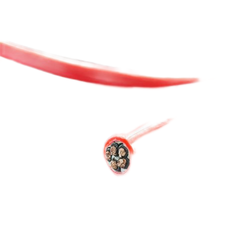 ����max(�й���)���޹�˾����