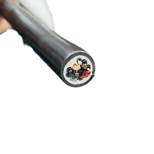 ����max(�й���)���޹�˾����