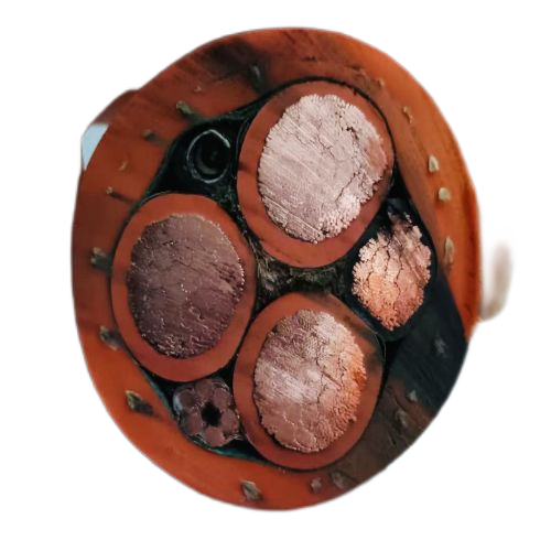 ����max(�й���)���޹�˾����