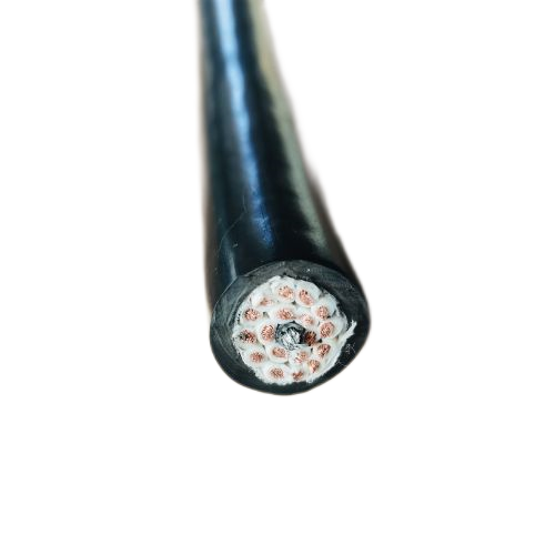 ����max(�й���)���޹�˾����