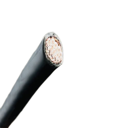 ����max(�й���)���޹�˾����