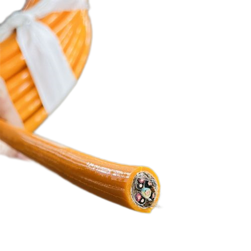 ����max(�й���)���޹�˾����