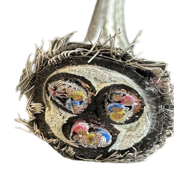 ����max(�й���)���޹�˾����