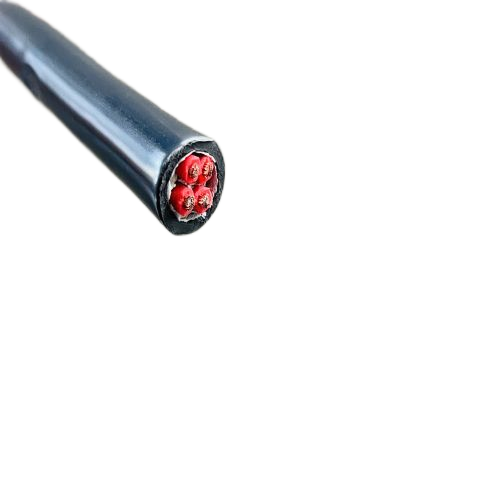 ����max(�й���)���޹�˾����