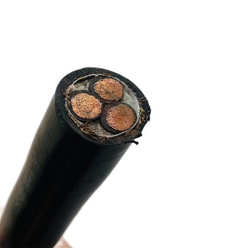 ����max(�й���)���޹�˾����