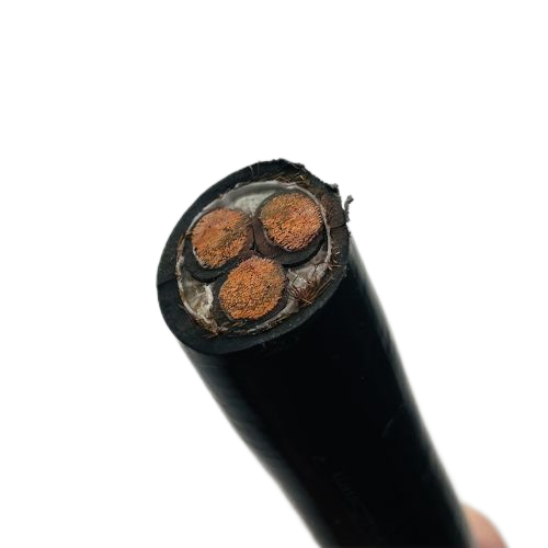 ����max(�й���)���޹�˾����