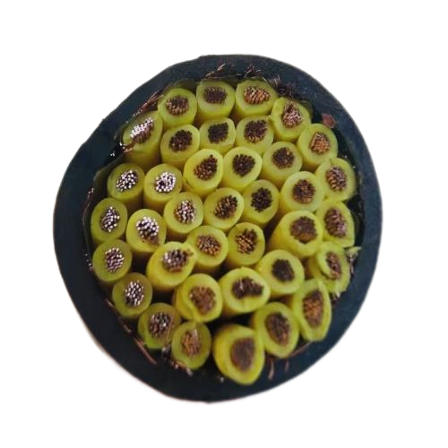 ����max(�й���)���޹�˾����