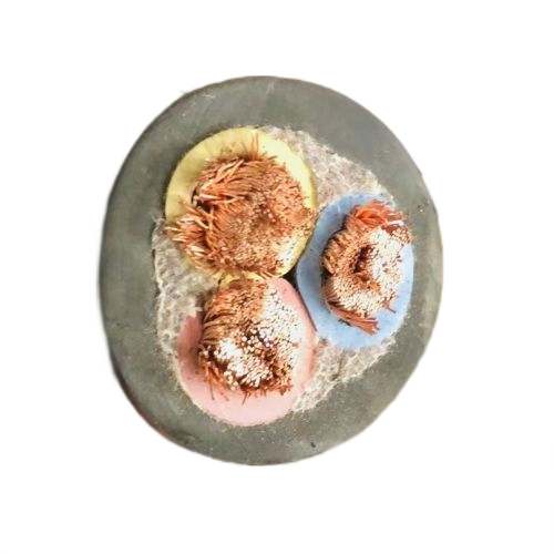 ����max(�й���)���޹�˾����