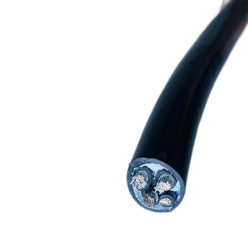 ����max(�й���)���޹�˾����