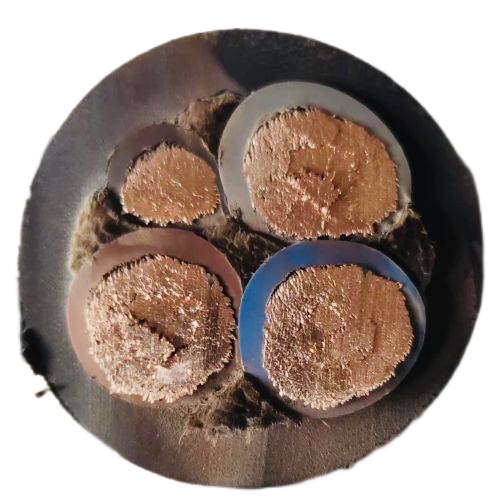 ����max(�й���)���޹�˾����