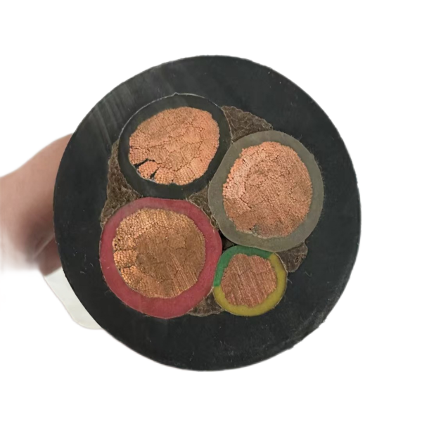 ����max(�й���)���޹�˾����