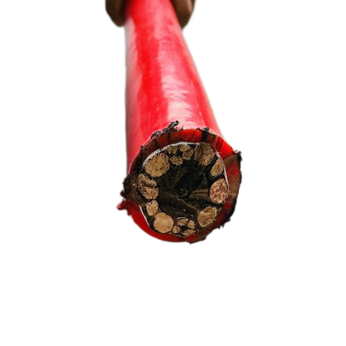 ����max(�й���)���޹�˾����