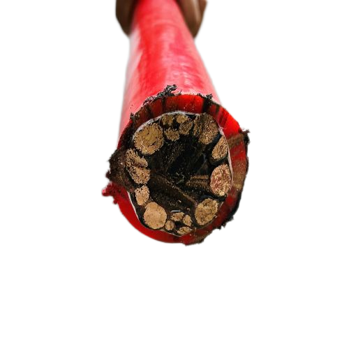 ����max(�й���)���޹�˾����