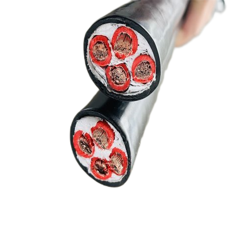 ����max(�й���)���޹�˾����