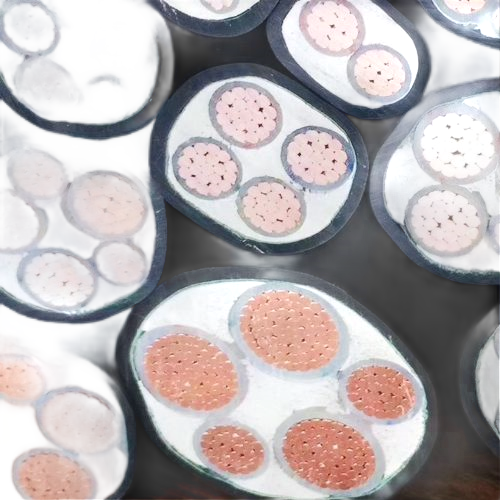 狗万·max(中国游)有限公司官网