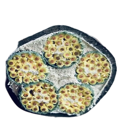 ����max(�й���)���޹�˾����