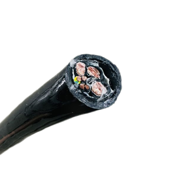 ����max(�й���)���޹�˾����