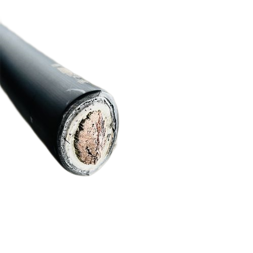 ����max(�й���)���޹�˾����