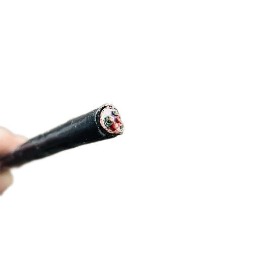 ����max(�й���)���޹�˾����