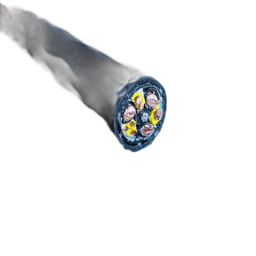 ����max(�й���)���޹�˾����