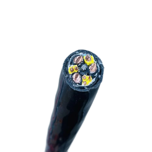 ����max(�й���)���޹�˾����