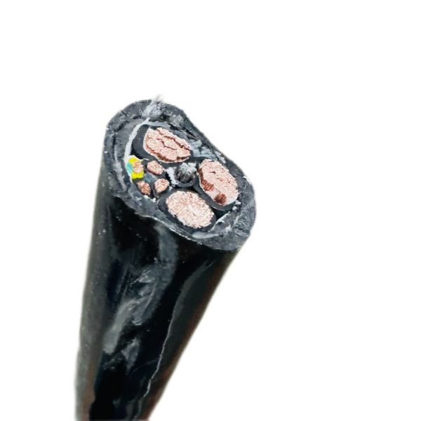 ����max(�й���)���޹�˾����