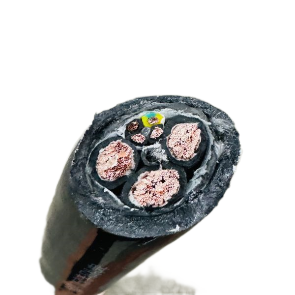 ����max(�й���)���޹�˾����