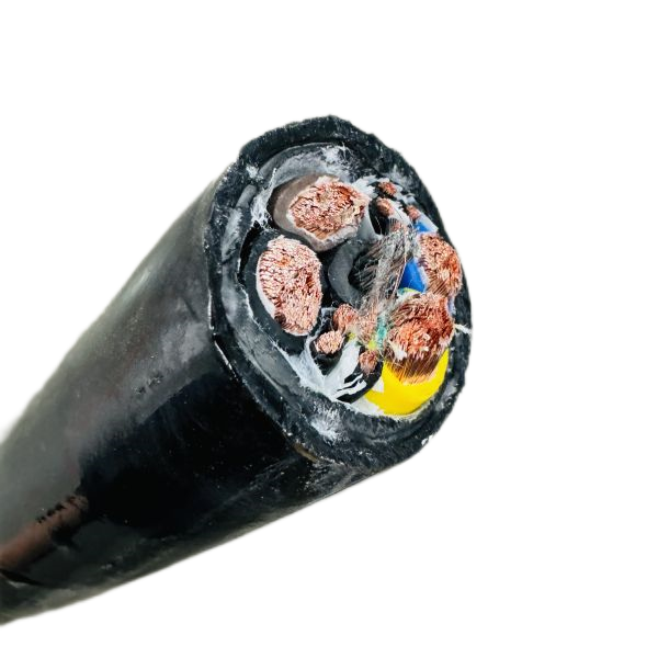 ����max(�й���)���޹�˾����