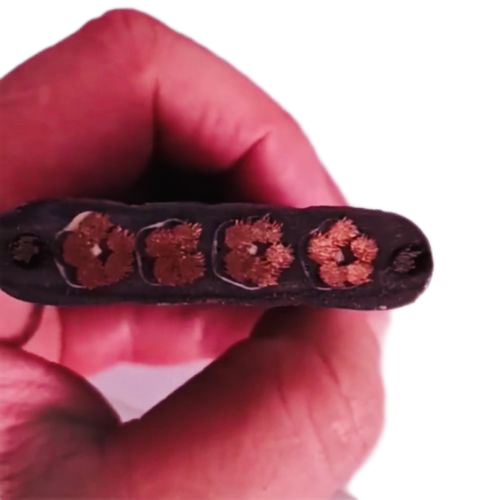 ����max(�й���)���޹�˾����