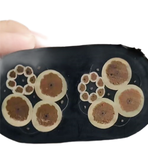 ����max(�й���)���޹�˾����