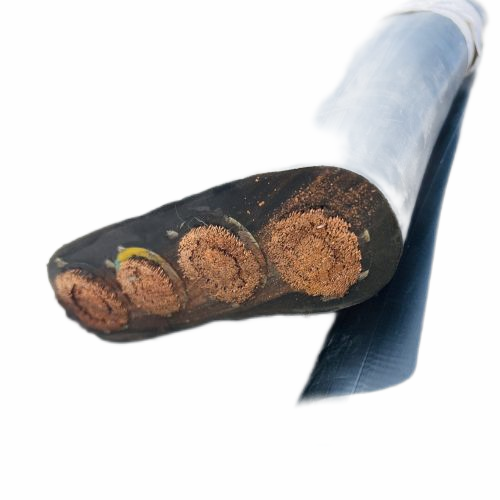 ����max(�й���)���޹�˾����