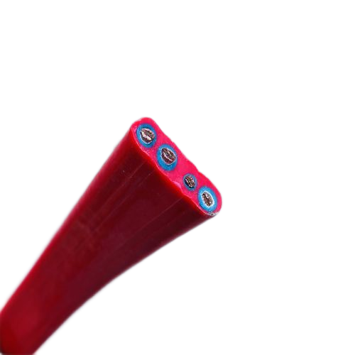 ����max(�й���)���޹�˾����