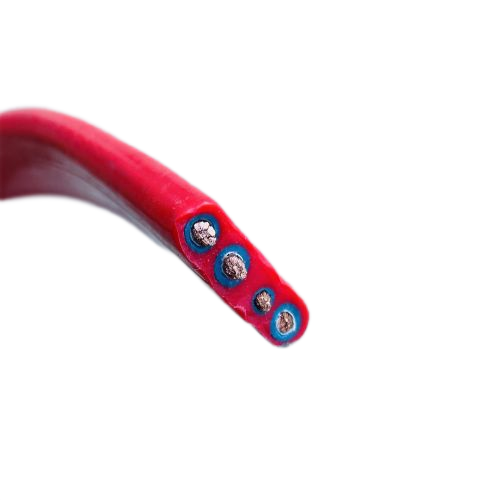 ����max(�й���)���޹�˾����