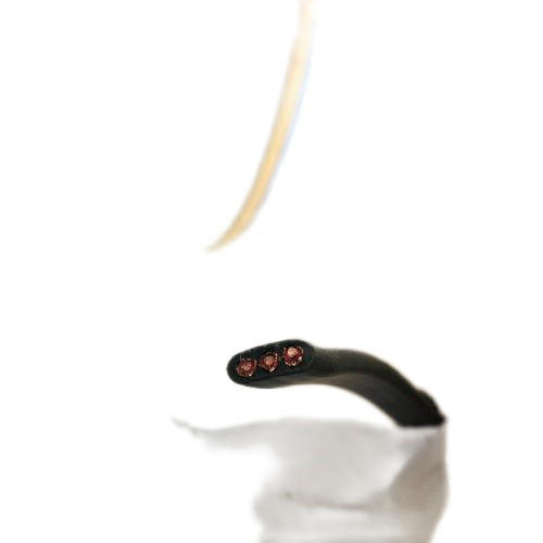 狗万·max(中国游)有限公司官网