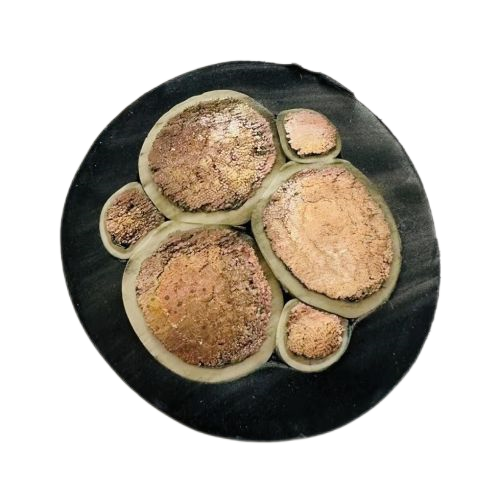 狗万·max(中国游)有限公司官网