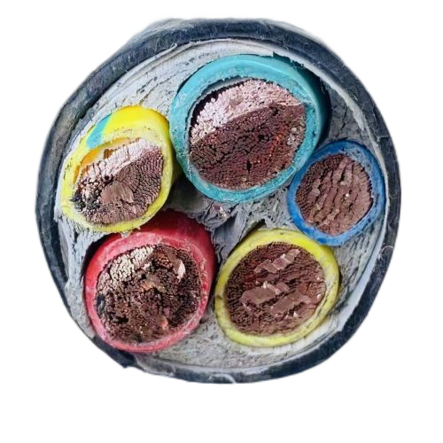 ����max(�й���)���޹�˾����